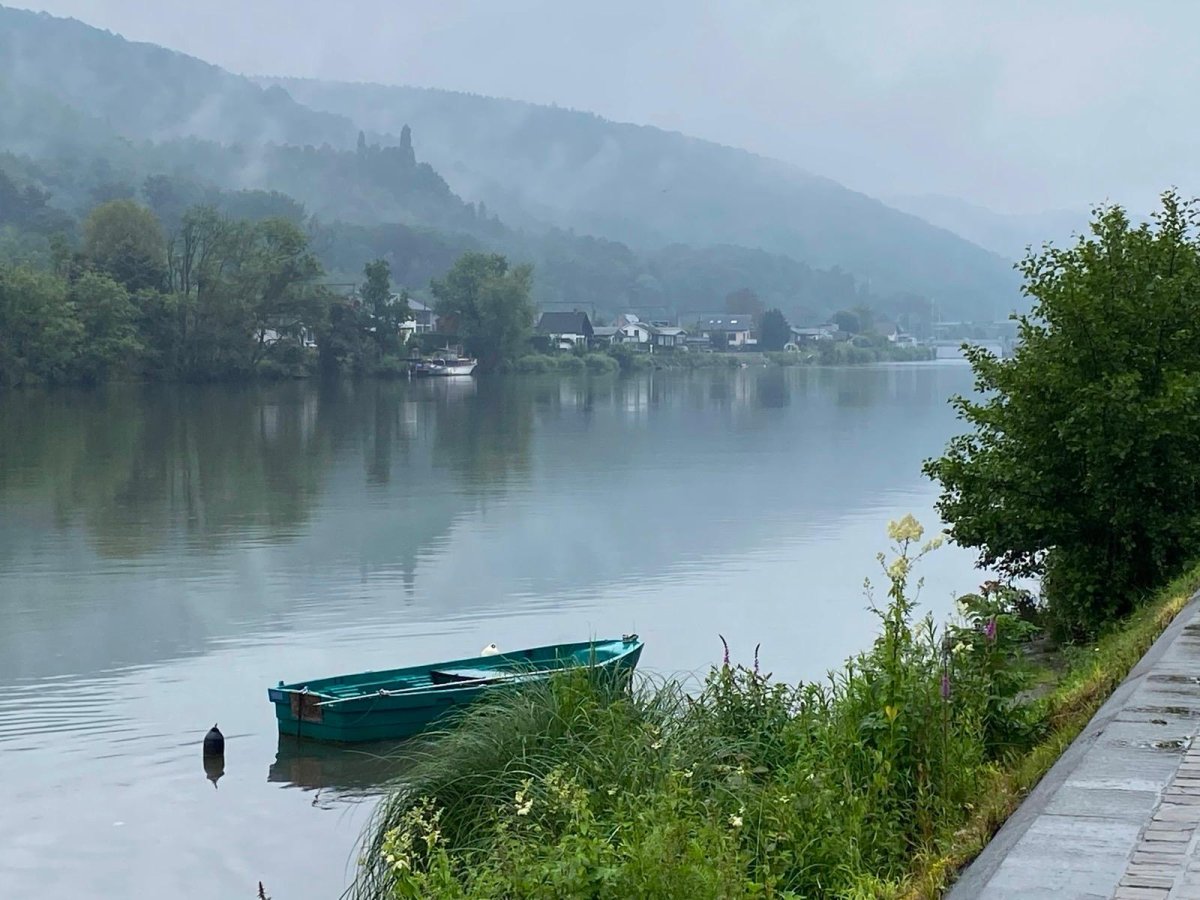 Un matin au bord de l'eau